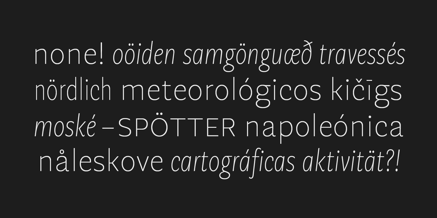 Пример шрифта Geller Sans Nr Ultra Black Italic